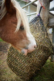 Sorrel Welsh pony eating from a 1" Half net 