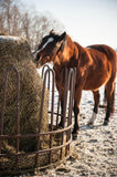 Bay horse in winter eating from a round bale with an EcoNets in a feeder