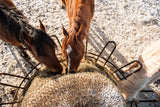 image looking down over 3 horses eating from an EcoNets EZ Feeder hay net kit in a brown feeder with uprights