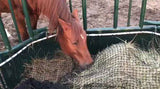 sorrel horse eating from an EZ feeder hay net showing the white  hose connected to the feeder