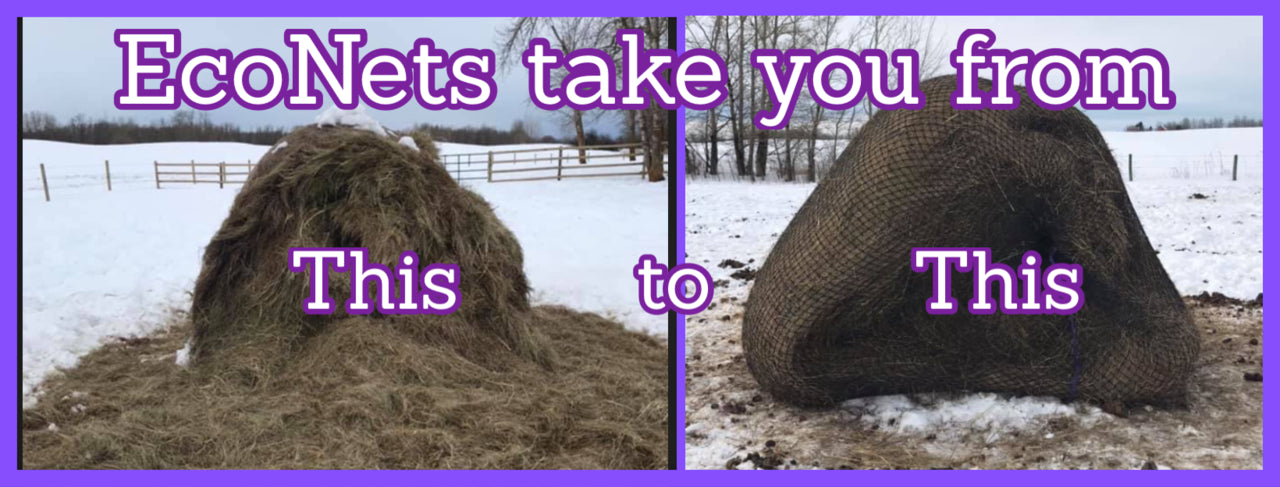 EcoNets