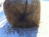Large Square Nets