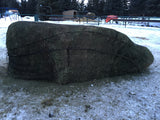 Large Square Nets