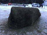 Large Square Nets