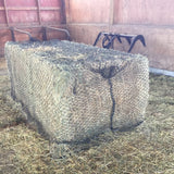 Large Square net over a 3x4x8 Lg Square bale
