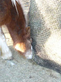 1' EcoNets round bale net with a welsh pony eating along the bottom