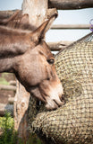 Miniature donkey eating from a 1" EcoNets hay net