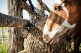 Close up of a paint horse eating from an EcoNets hay net