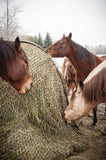 1.5" Medium round bale net with horses eating from it