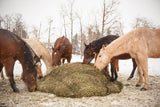 6 different colored horses eating from 1/2 a round bale EcoNets round bale net