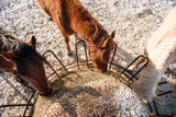 3 horses eating from an EcoNets hay net in a feeder