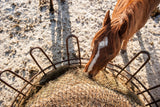 Overhead view of sorrel horse eating from EcoNets EZ Feeder hay net kit