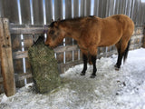 Bay horse eating from a Square bale EcoNets hay net leaning up against a wind fence