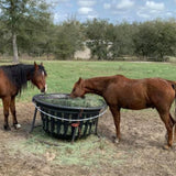 Basket EZ Feeder hay net kit showing hay and 2 horses eating