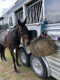 dark bay horse eating from a 1" net hanging on the side of an aluminum trailer
