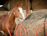 Sorrel paint horse eating from a round bale with an EcoNets hay net 