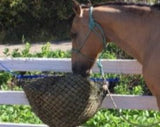 1.5" Mini net hanging horizontally on fence with a dun colored horse eating from it